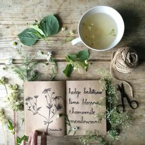 Herbology