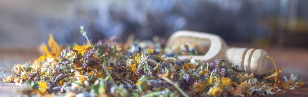 Embracing Autumn: Nourishing Your Body and Balancing Tissue States in Herbology 1 Tissue states, Herbology, Nutrition