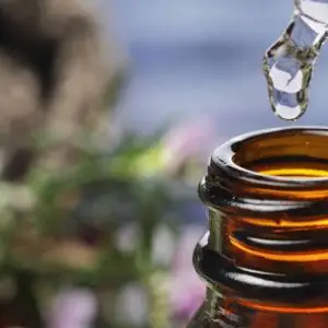 Flower Essence Online Workshop