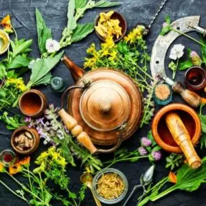 Fabrication for Herbology Students